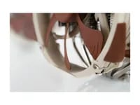 Affordable Noctua NH-D15 Cooler - 140mm Fans - Thumbnail 6