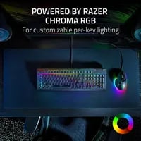 Affordable Razer BlackWidow V4 X Keyboard - Thumbnail 5