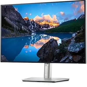 U2421E