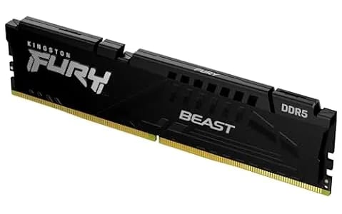 FURY Beast