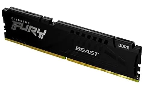 FURY Beast